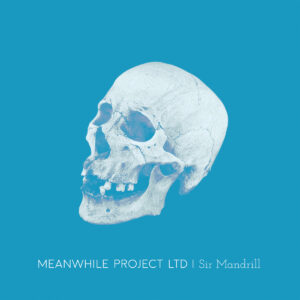 Meanwhile Project Ltd - Sir Mandrill (Kapitaen Platte/Cargo, 24.05.2024) COVER