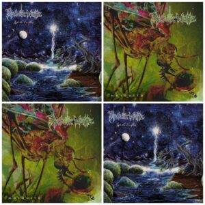 Psychotic Waltz - Into The Everflow / Mosquito (Reissues)