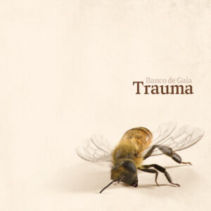 Banco de Gaia - Trauma (Disco Gecko, 06.09.2024) COVER