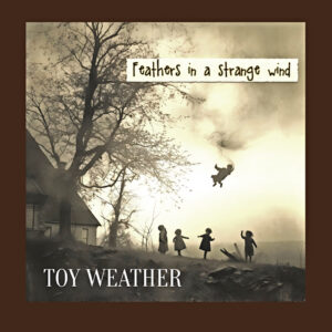 Toy Weather - Feathers In A Strange Wind (Apollon, 31.01.2025) COVER